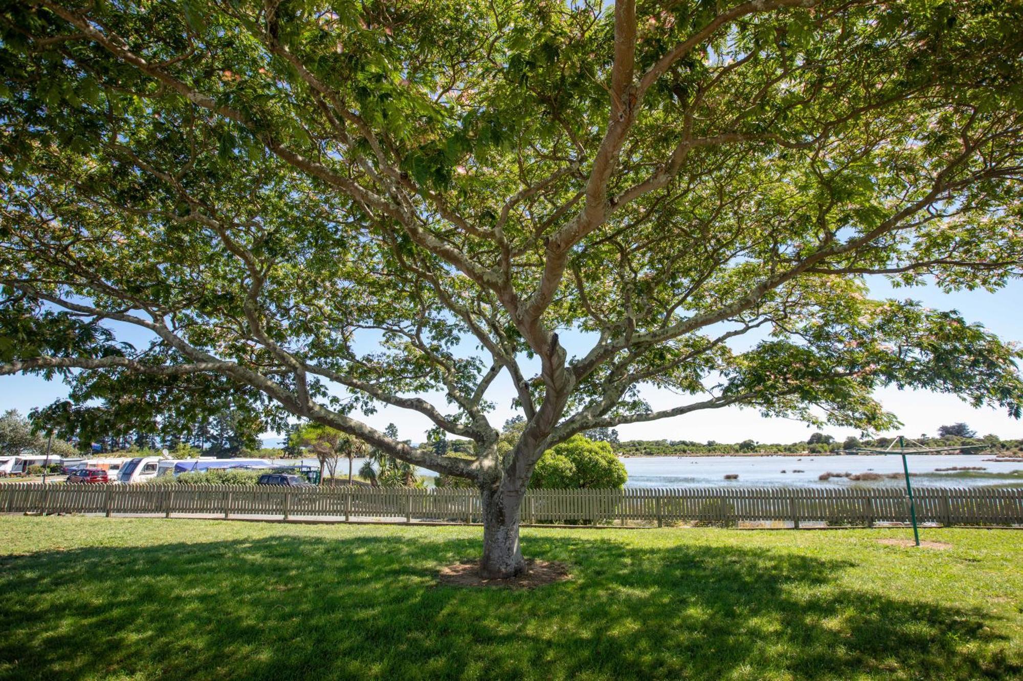 Tahuna Beach Holiday Park Nelson Zimmer foto